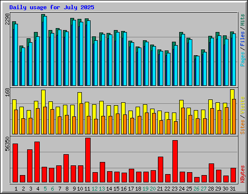 Daily usage for July 2025