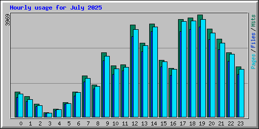 Hourly usage for July 2025