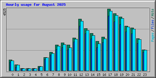 Hourly usage for August 2025