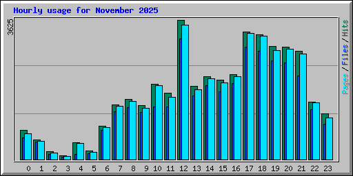 Hourly usage for November 2025