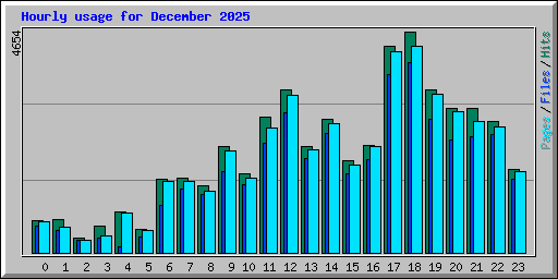 Hourly usage for December 2025