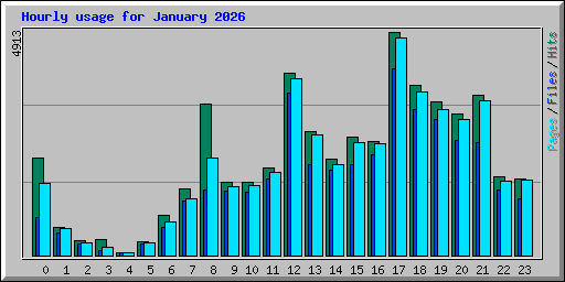 Hourly usage for January 2026