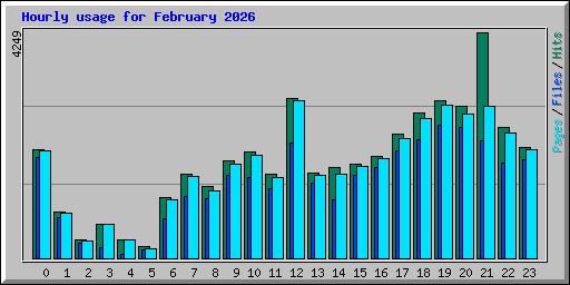 Hourly usage for February 2026
